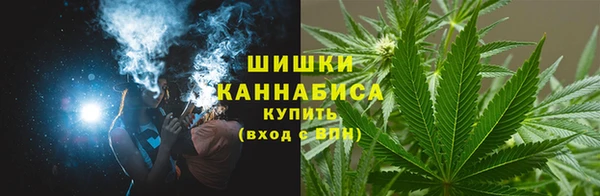 ECSTASY Покачи