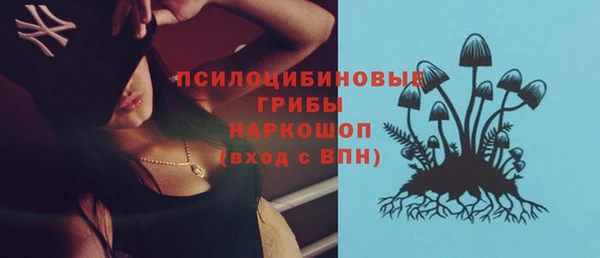 спиды Покровск